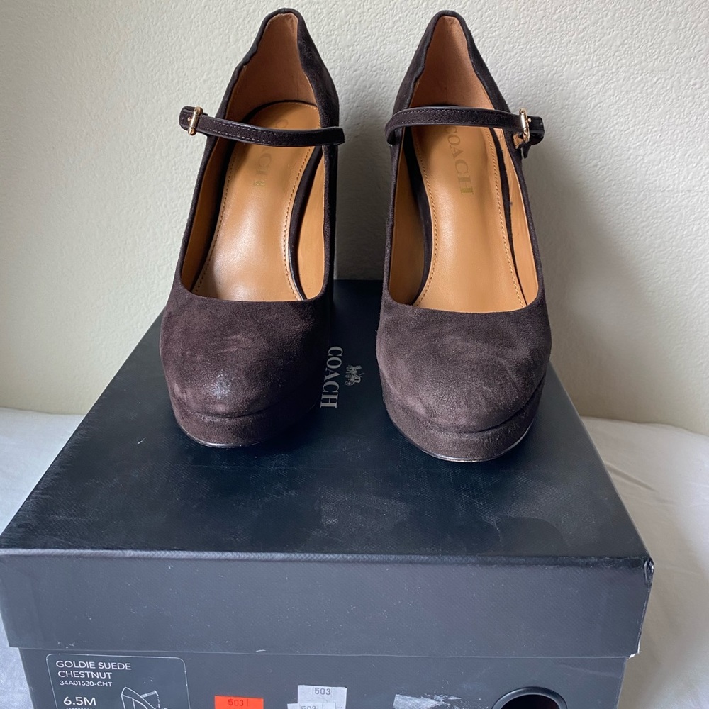 Coach Goldie Suede